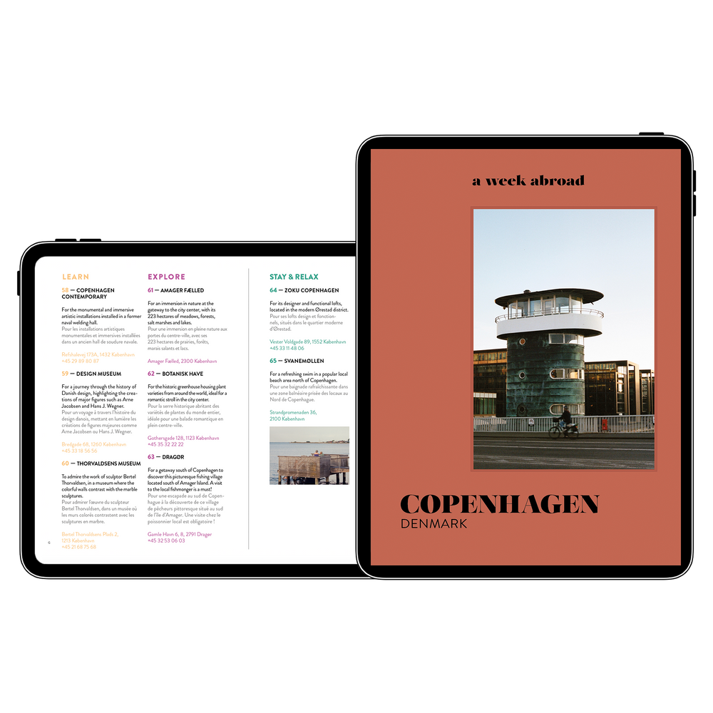 Ebook Copenhagen - Ebook