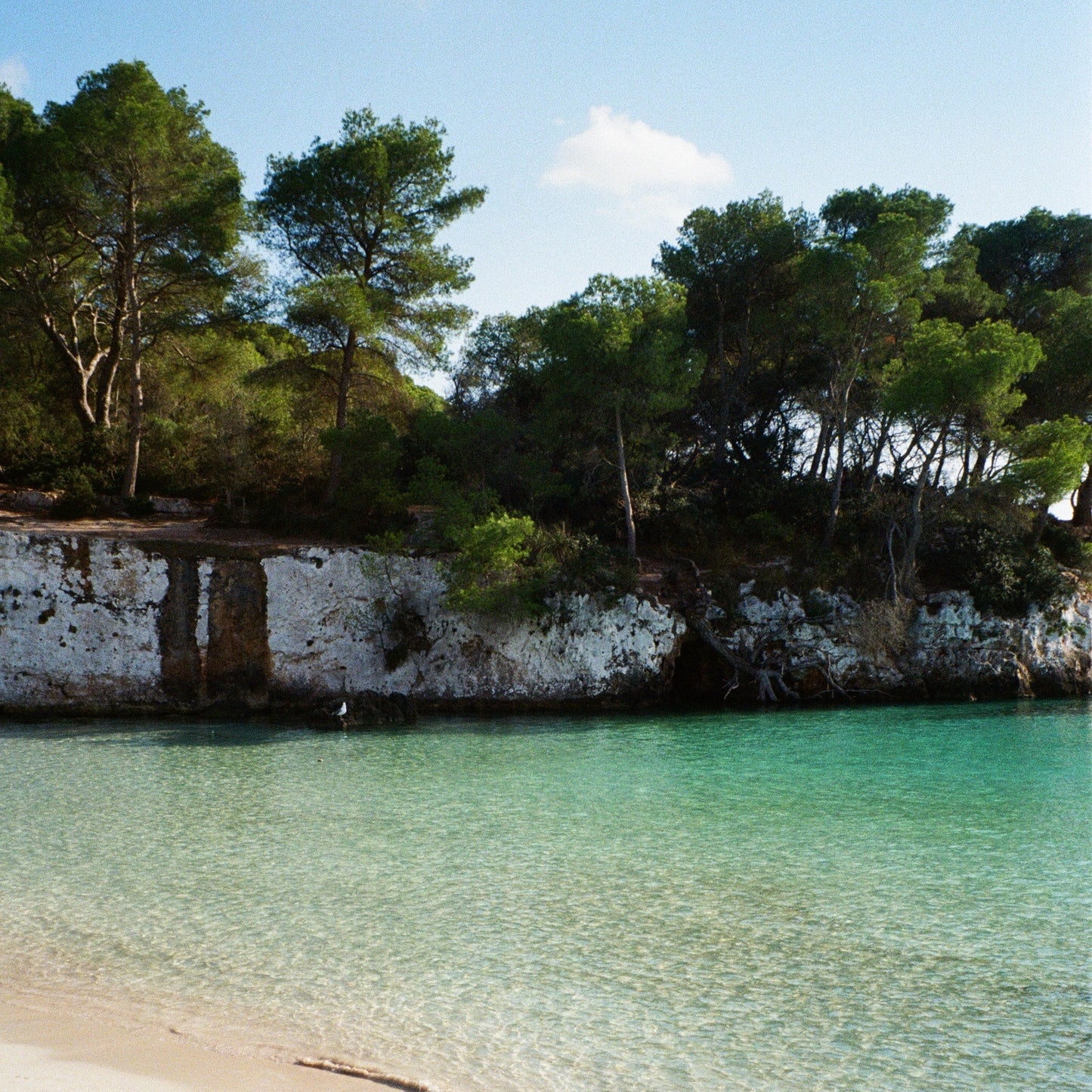Ebook Mallorca-Menorca - Ebook
