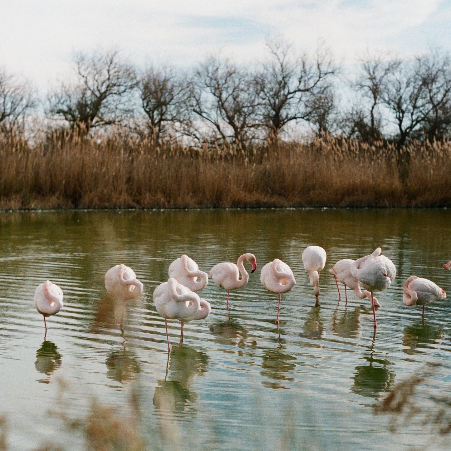 Livre Arles-Camargue - Book