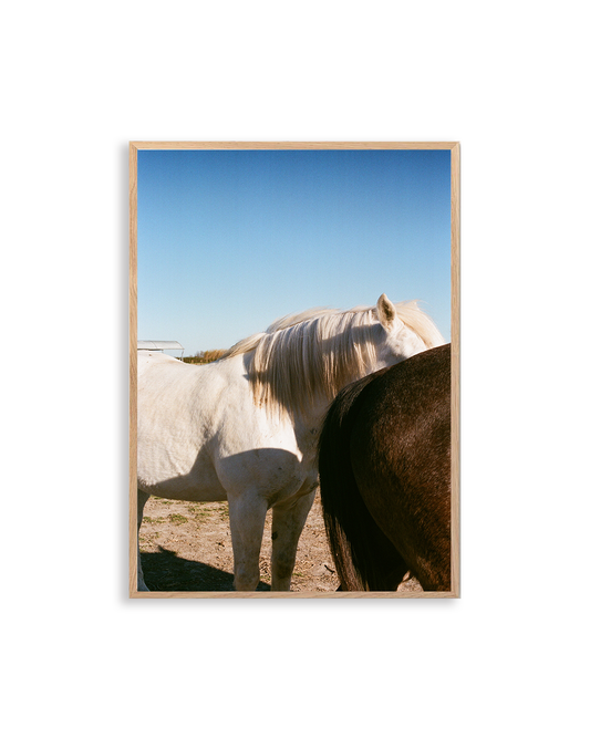 Tirage d'art - Arles-Camargue - Les chevaux