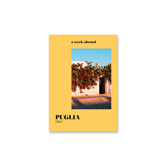 Livre Puglia - Book